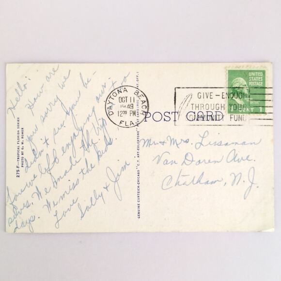 Vintage 1949 Linen Postcard Royal Poinciana Tree Florida Tropical Daytona - Picture 2 of 2